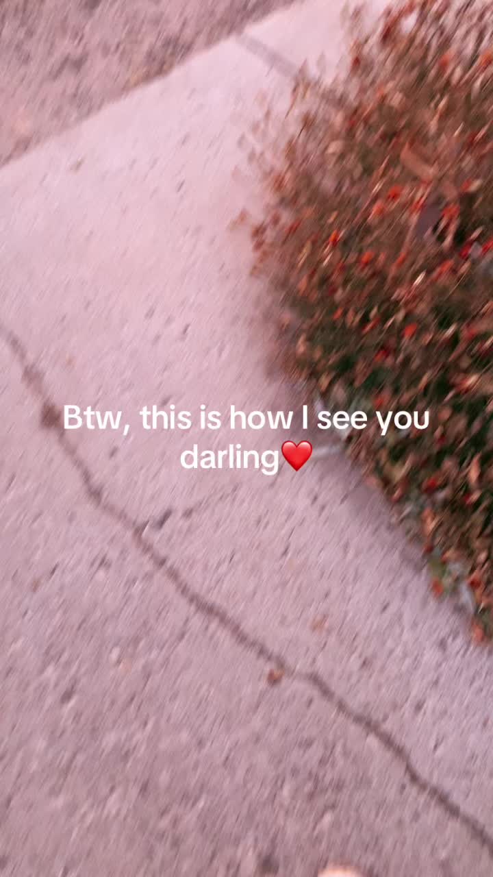 @mclean406._