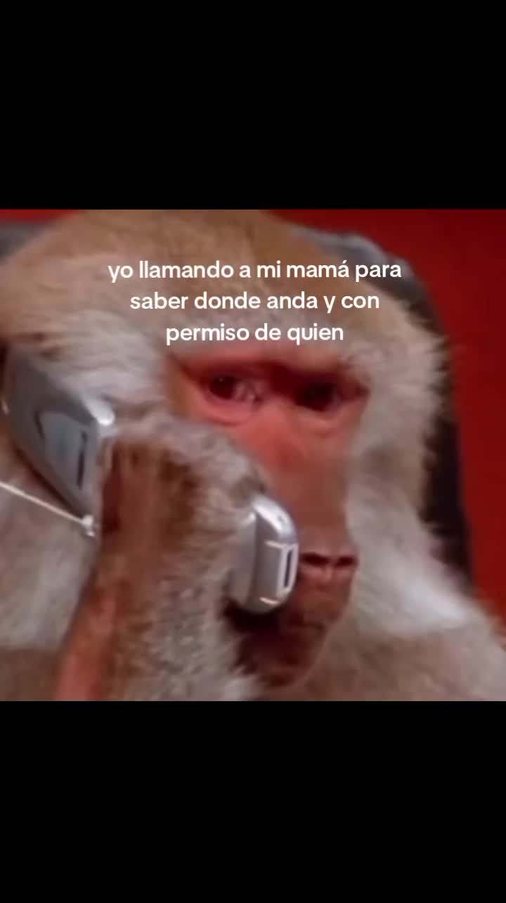@alison