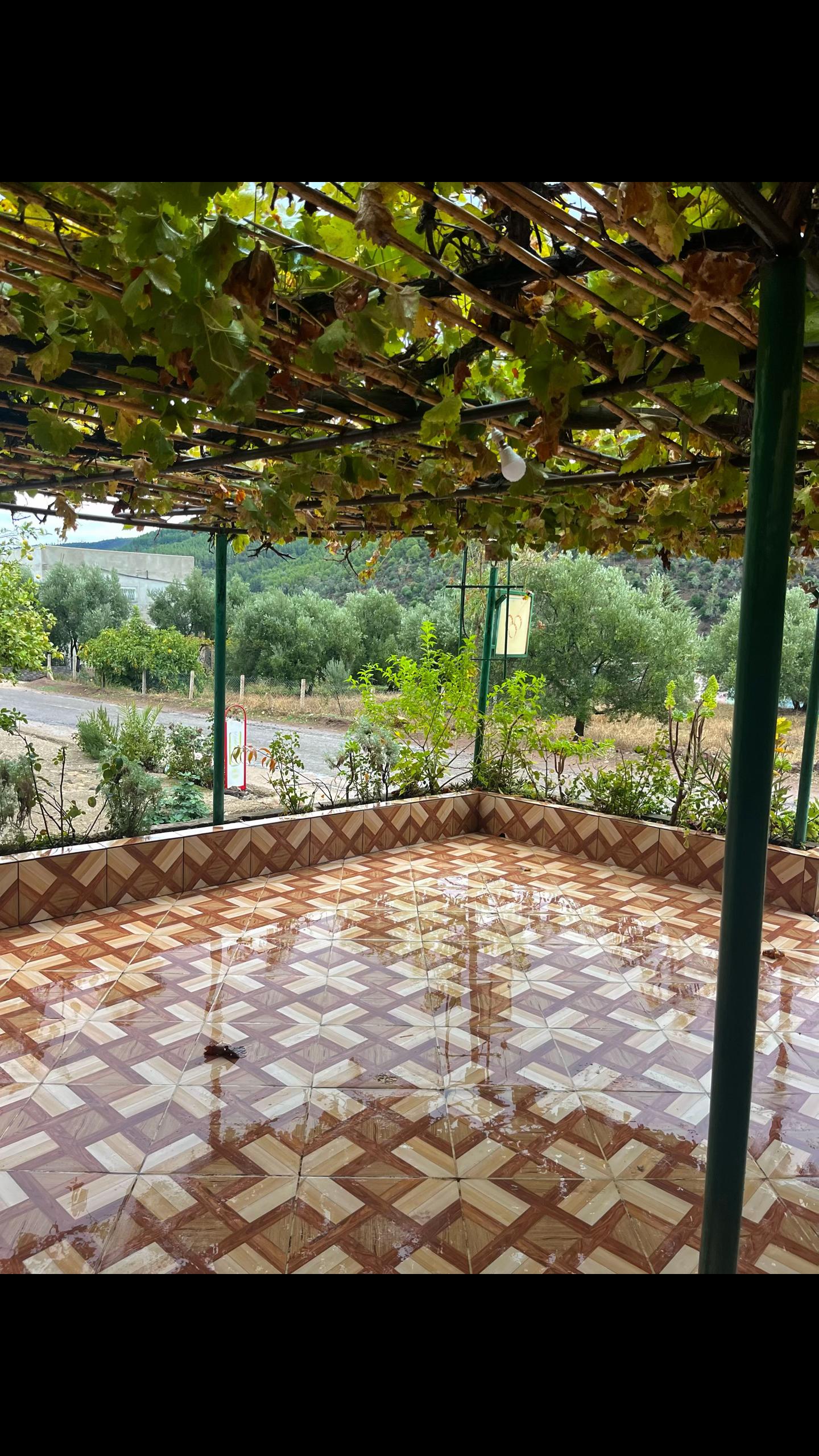 @مول القهوة