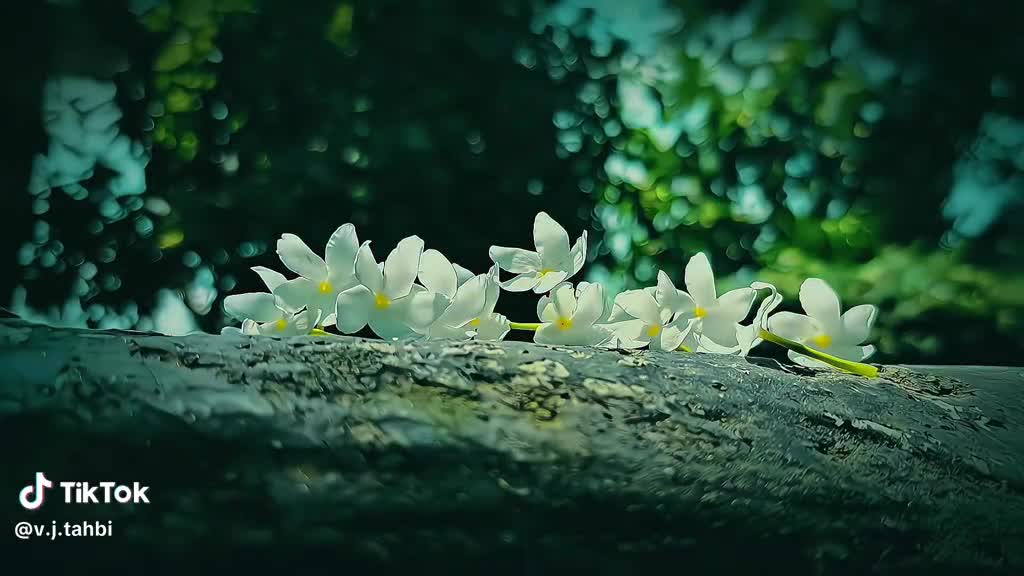 @aparna09