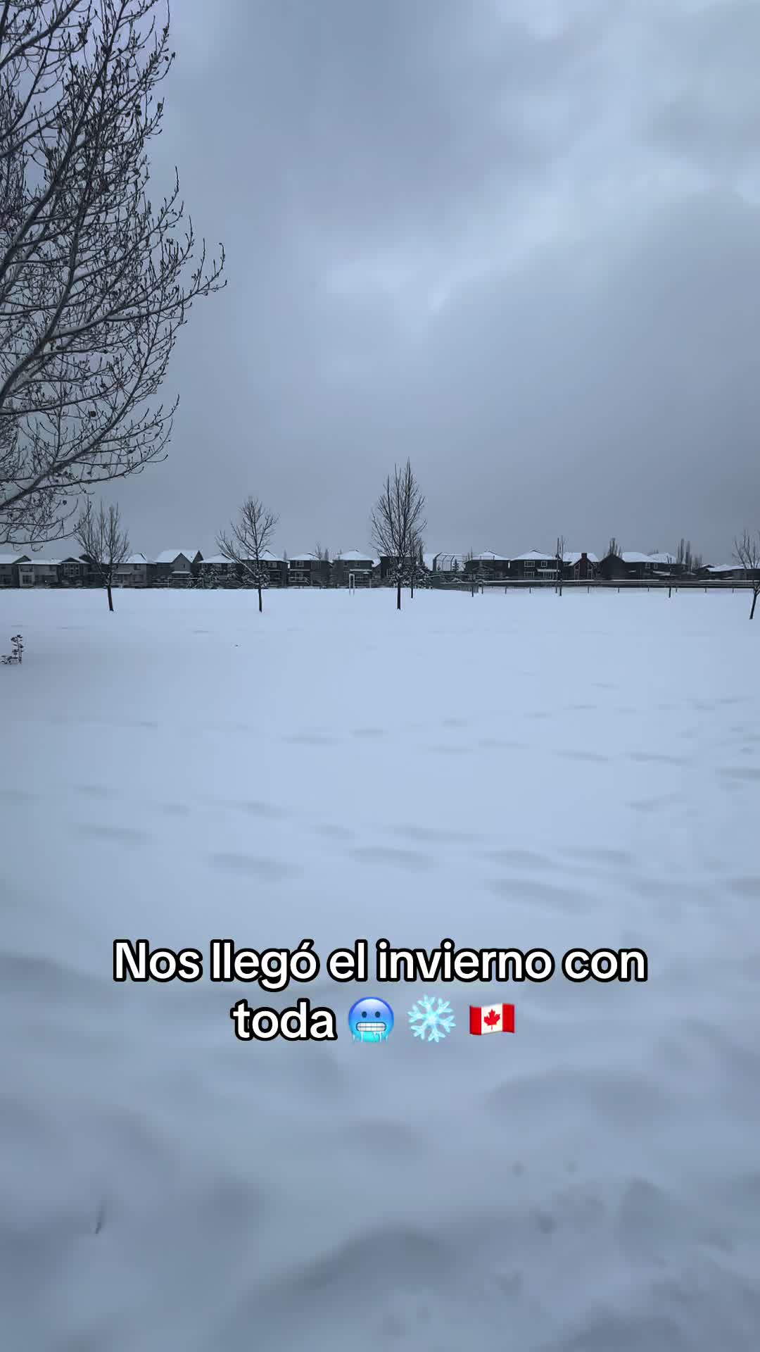 @Dantian17