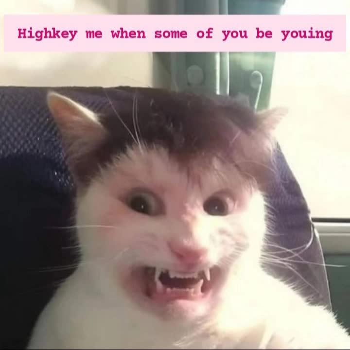 @jacquvalshades