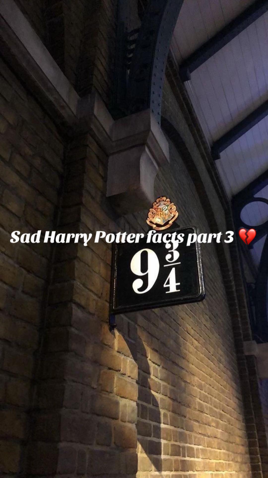 @Just a Potterhead 🫡