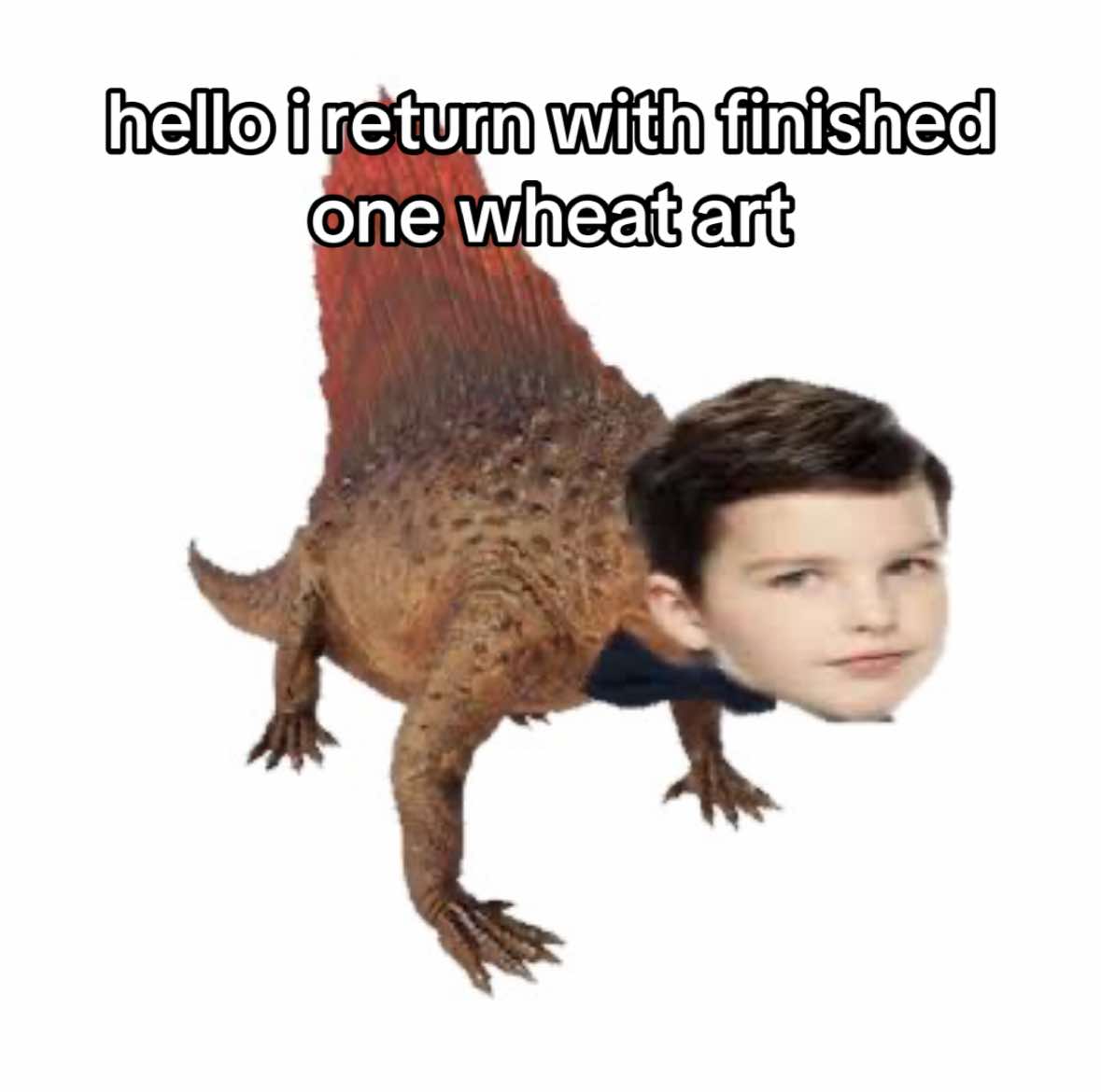 @husk1️⃣🌾/🌕🐁/🦷🎹