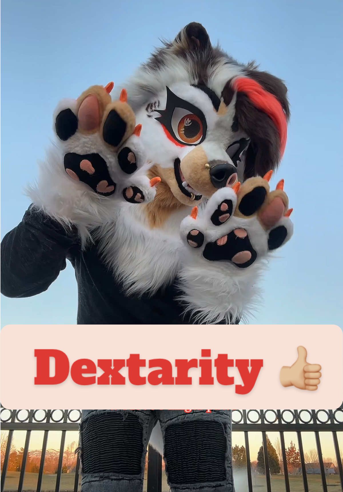 @☕︎ 𝐑𝐨𝐦𝐚𝐧 🔜 Furlandia