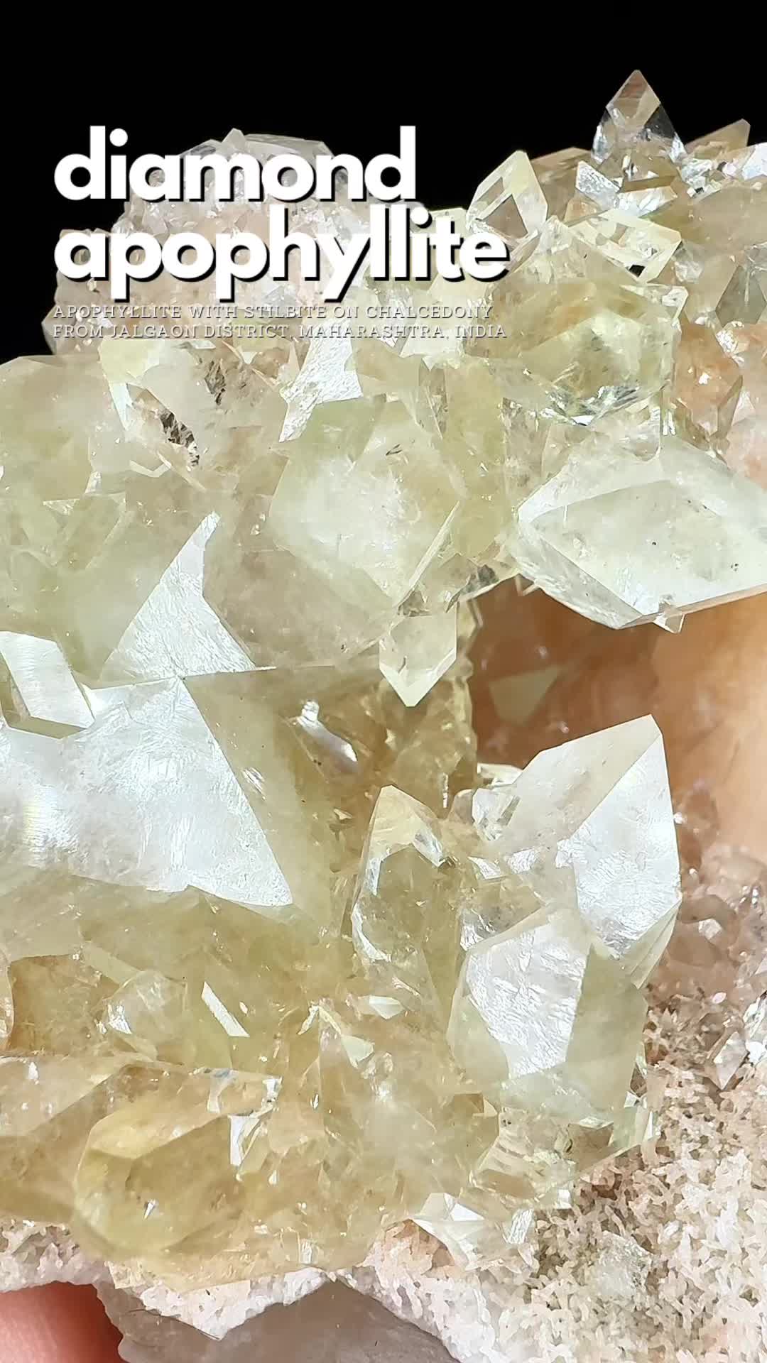 @Crystal Live Emporium✨Natalie