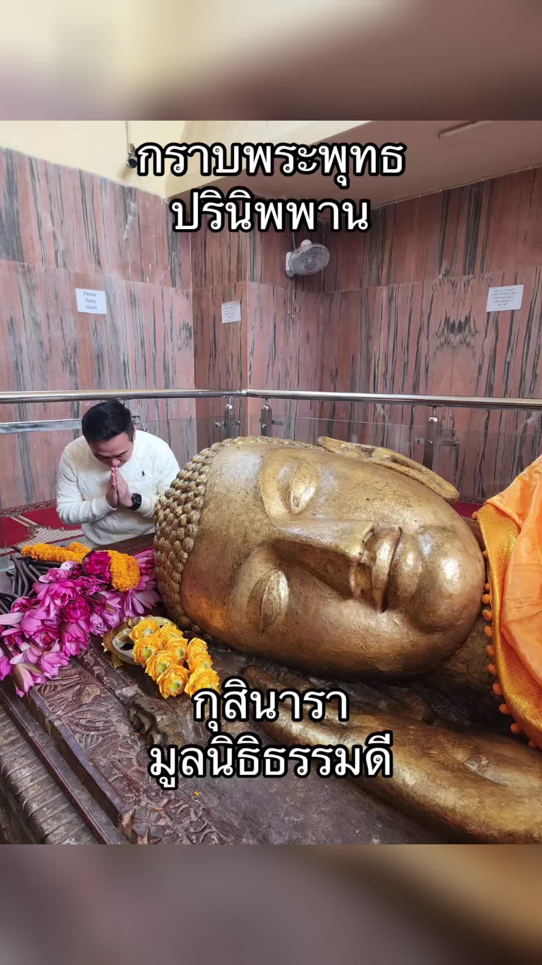 @DanaiChanchaochai