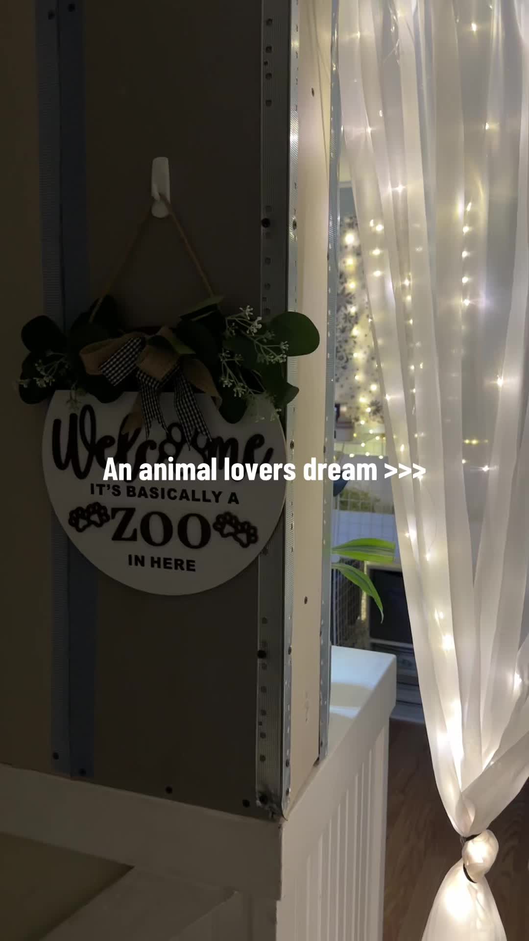@Ashlyn | Exotic Zoo 🐾