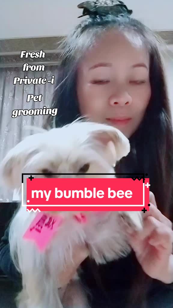 @Mizzy Scarlet Abulencia