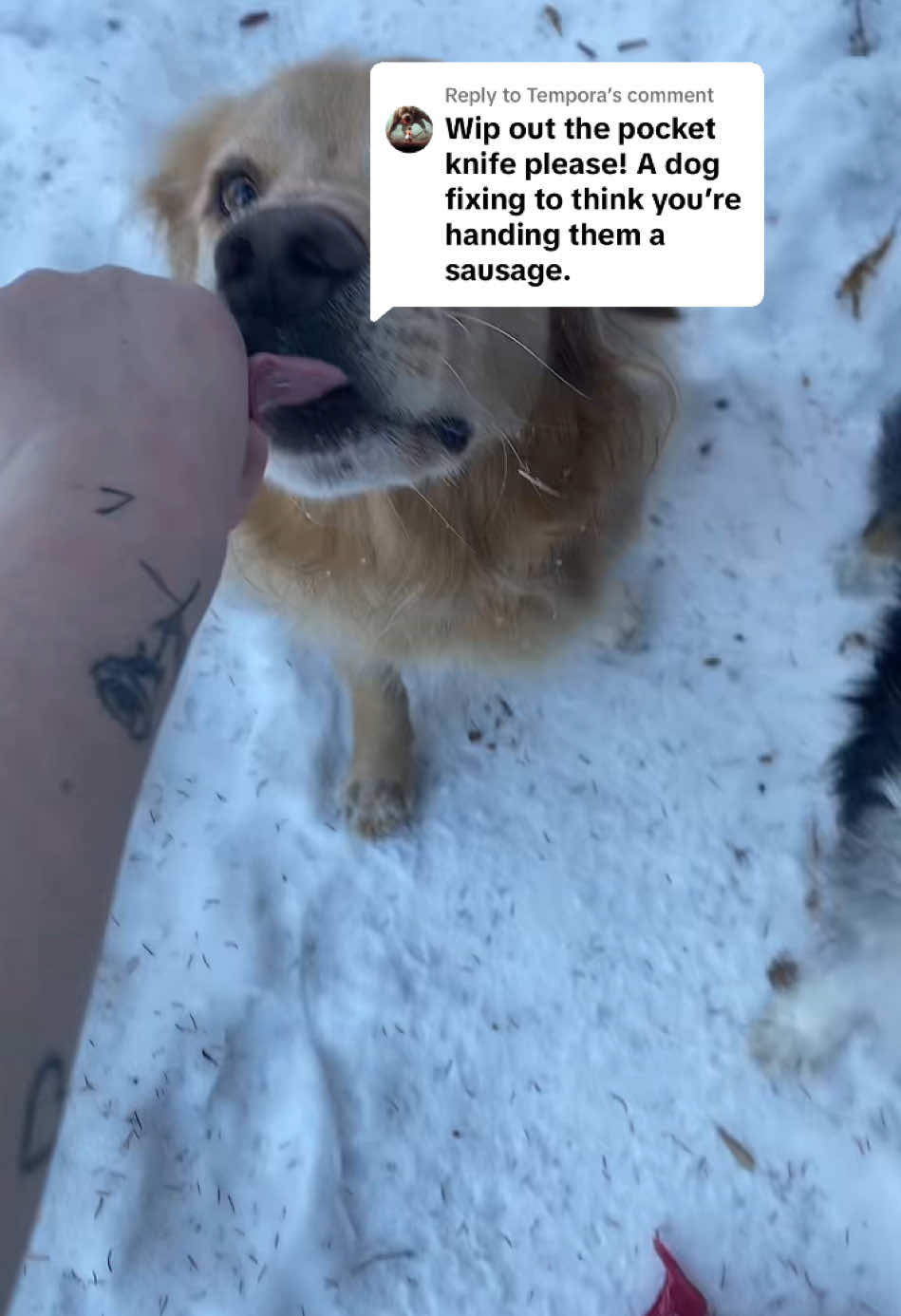 @alex 🇨🇦