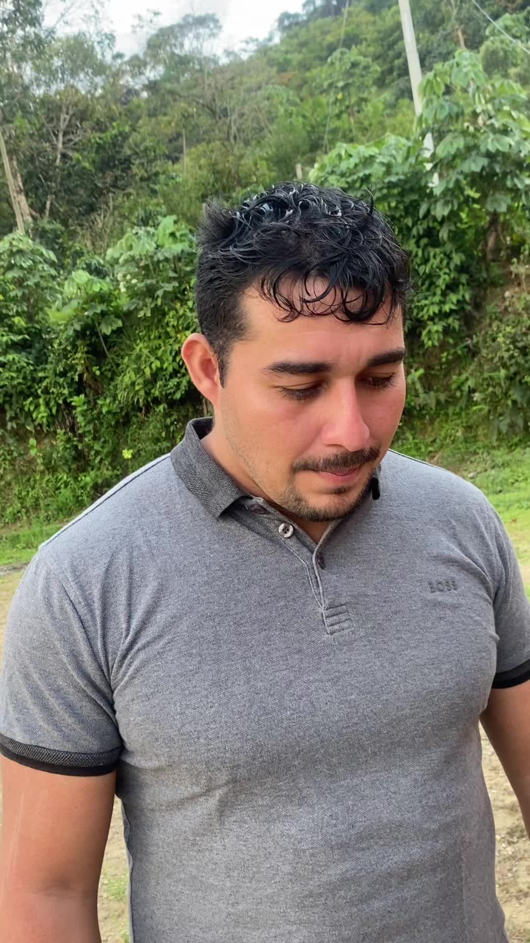 @Alfredo Parra oficial1