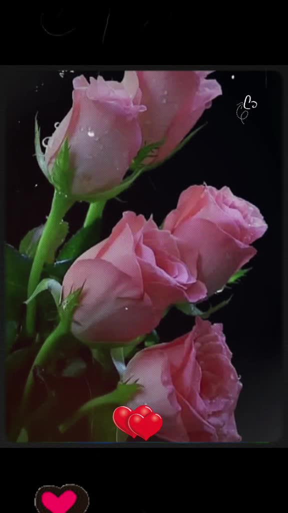 @shushmathapa405