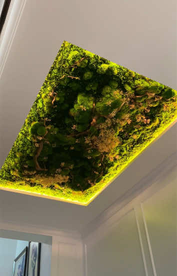 @Visuallscape