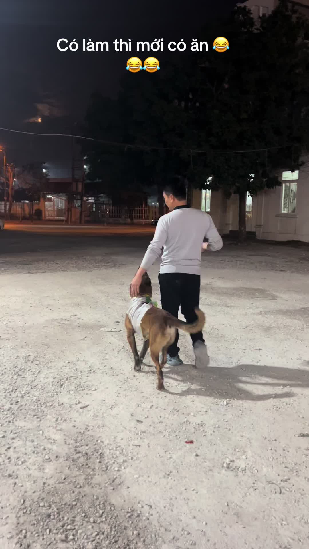 @Hải Dương