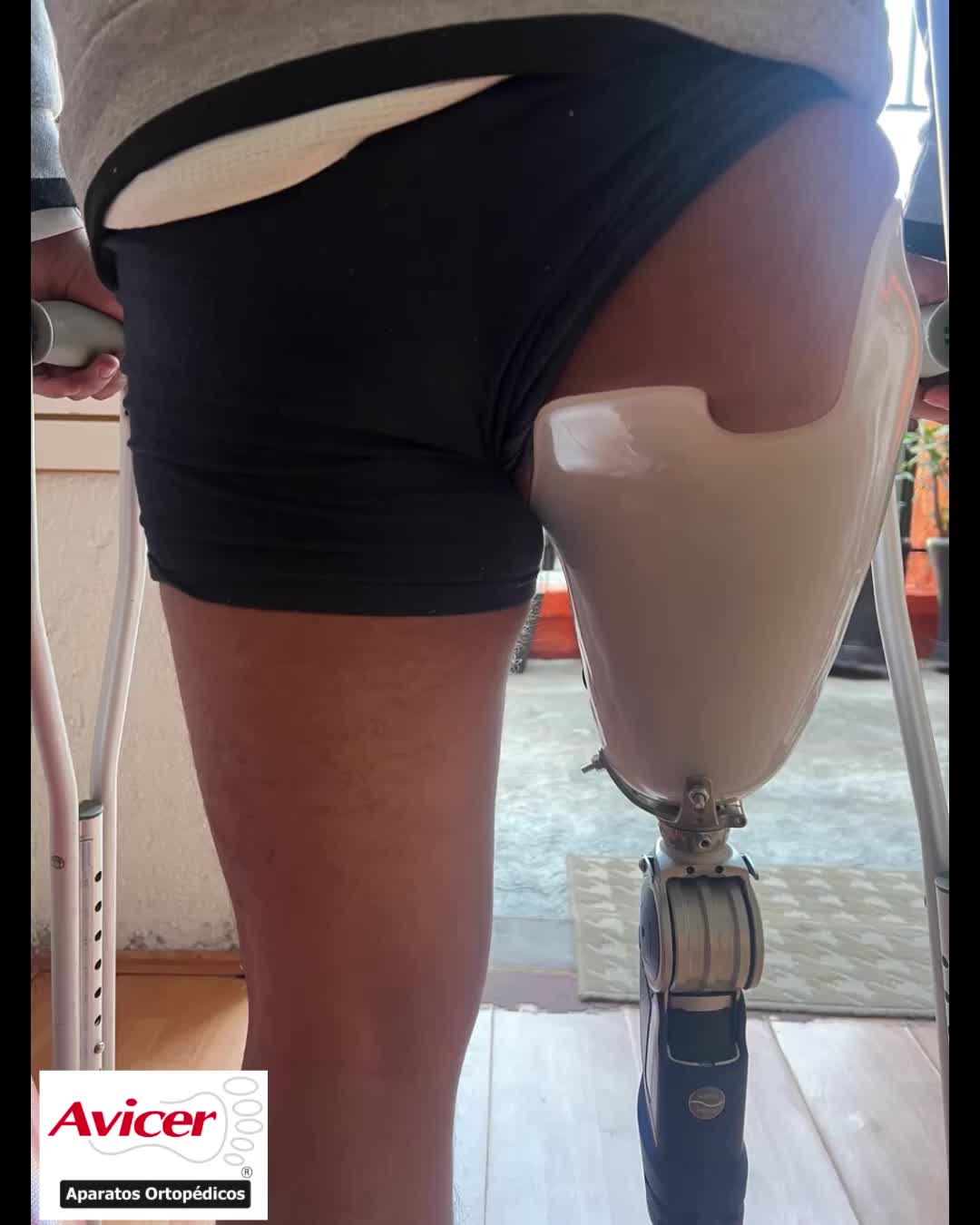 @avicer.net