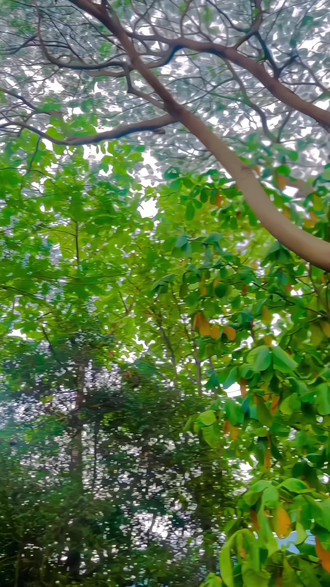 @Santhosh Kumar