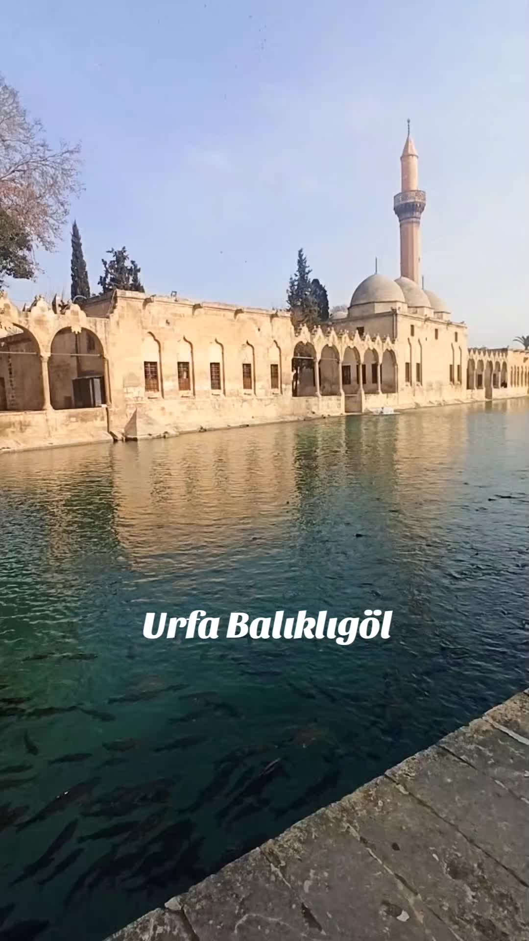 @Zeynep Nazlım