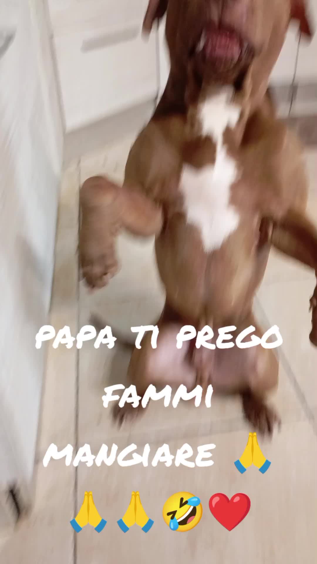 @simo1980