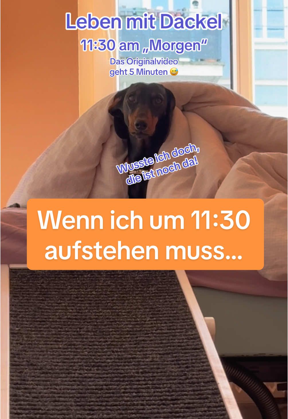 @SausagedogMaja