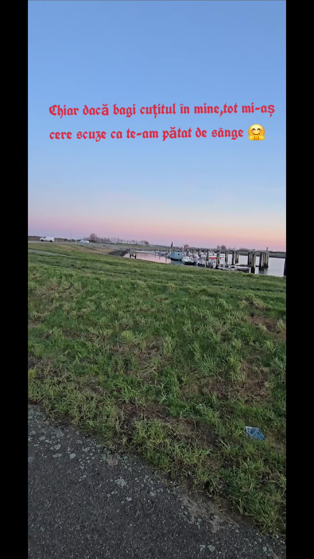 @Denis Gradinaru