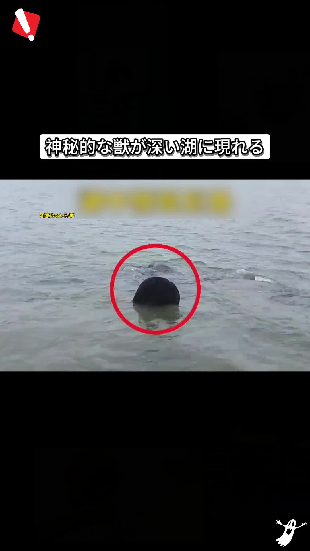 @斎藤アウトドア