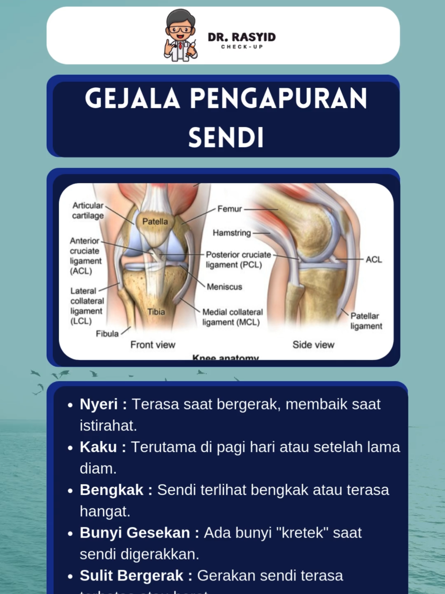 @Dokter Rasyid