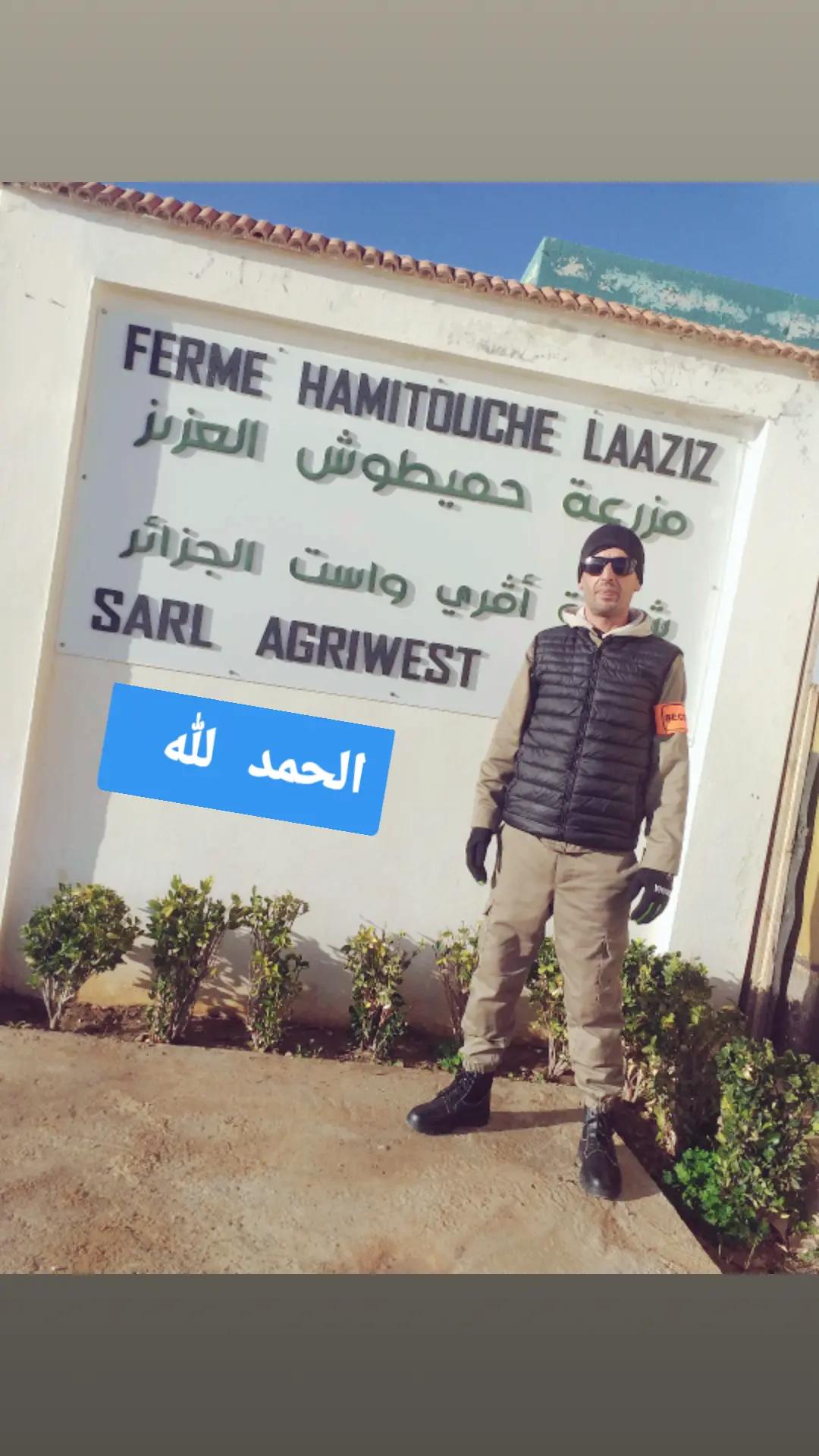 @alilmir25