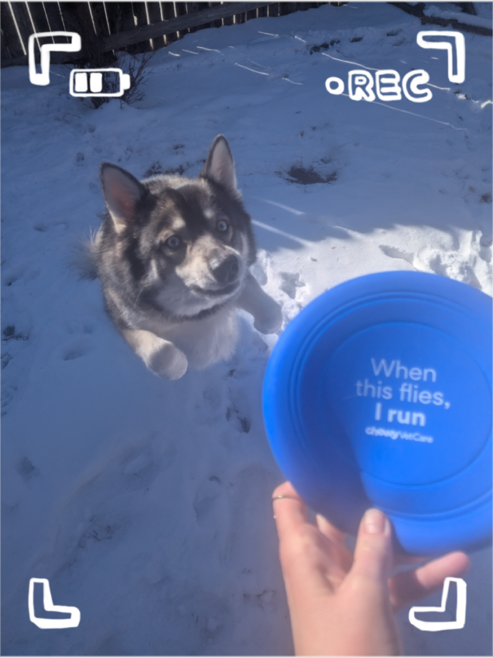 @Niko