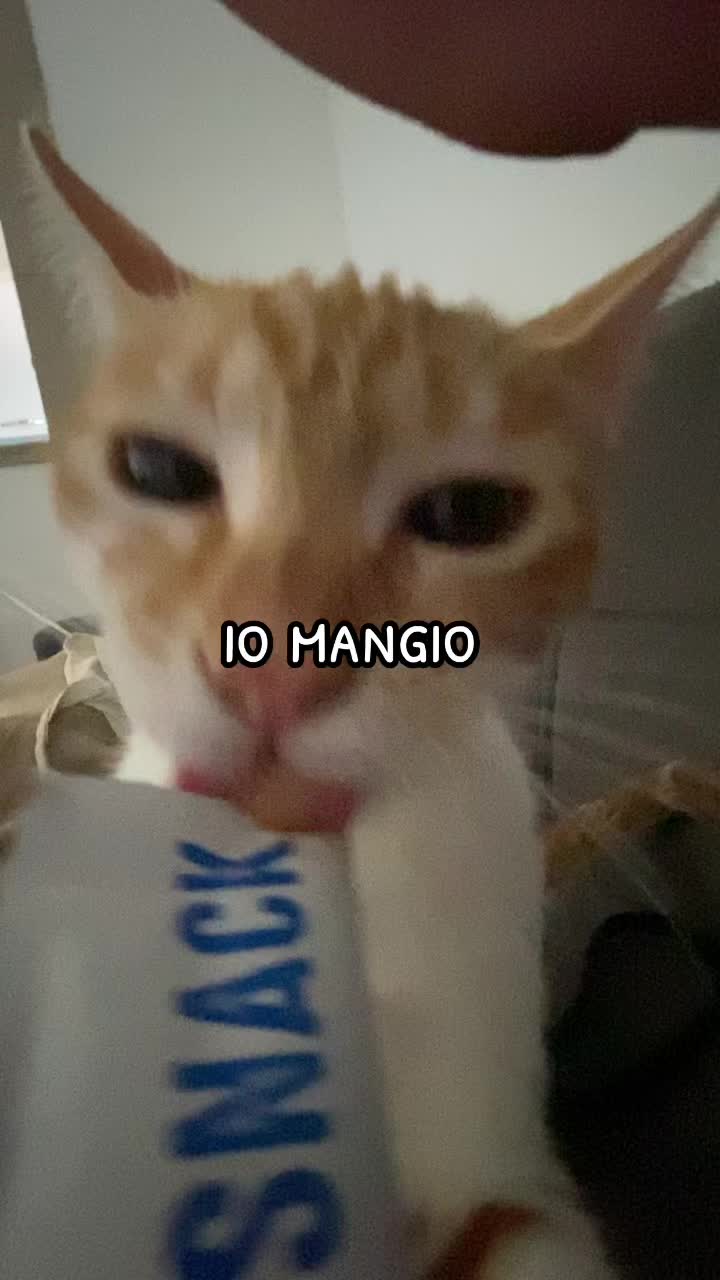 @ciroilgattorosso