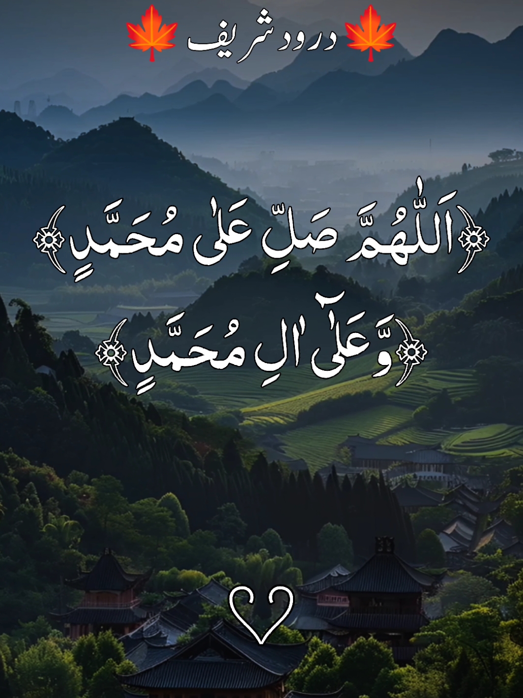 @❣️ Words of Allah ❣️