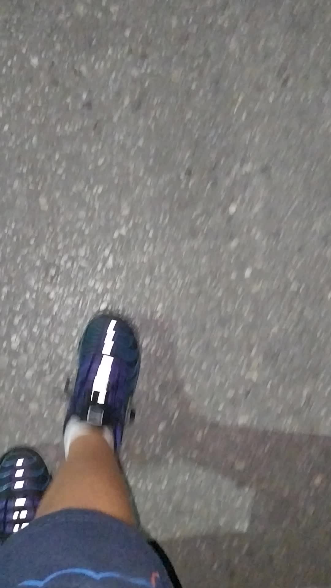 @Car spotting dzambaski