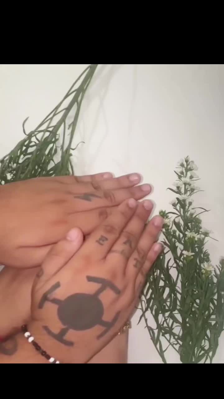 @liznaed