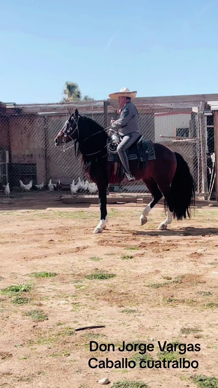 @Rancho Arroyo Charros