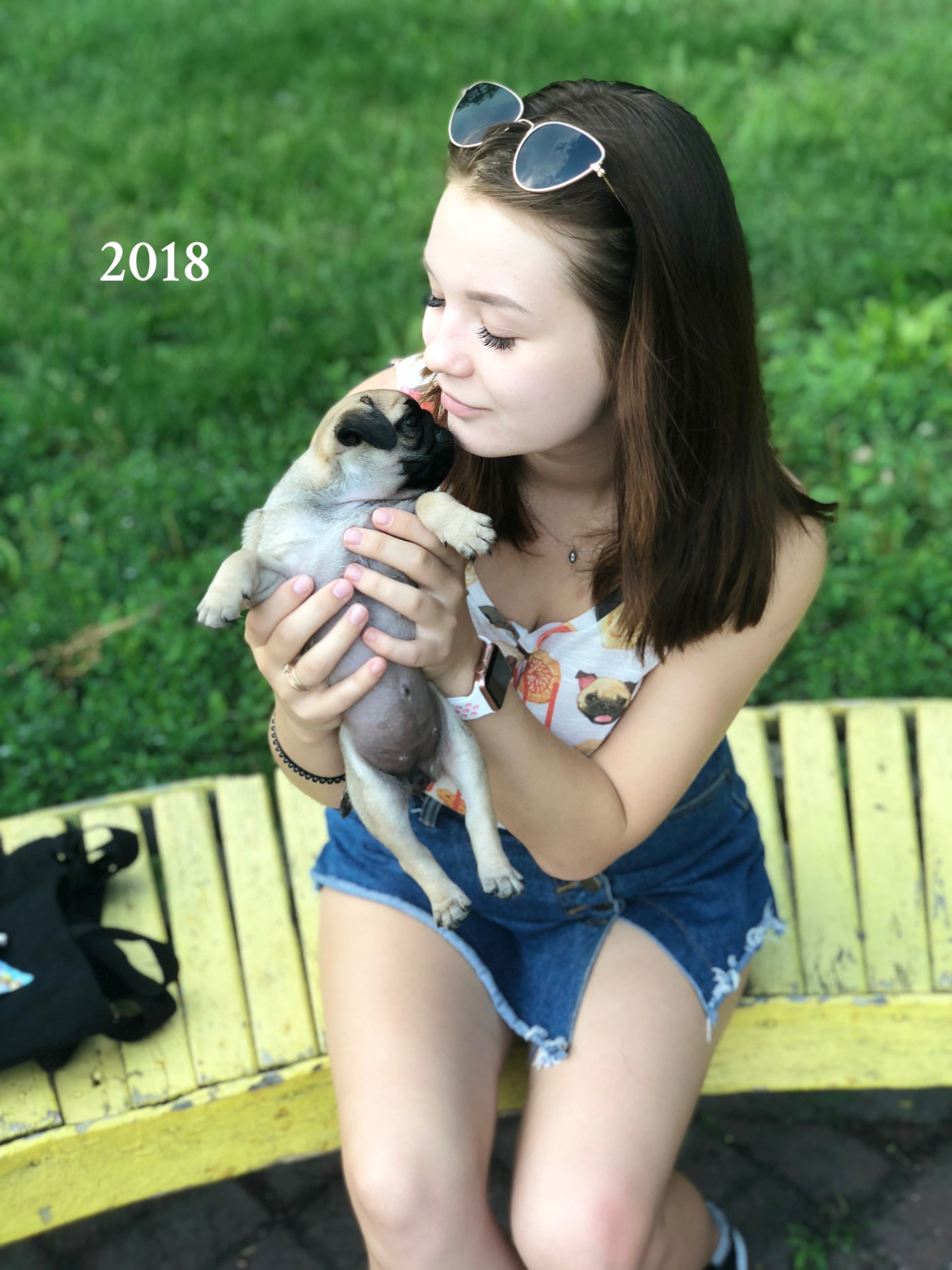 @Pug_bulka