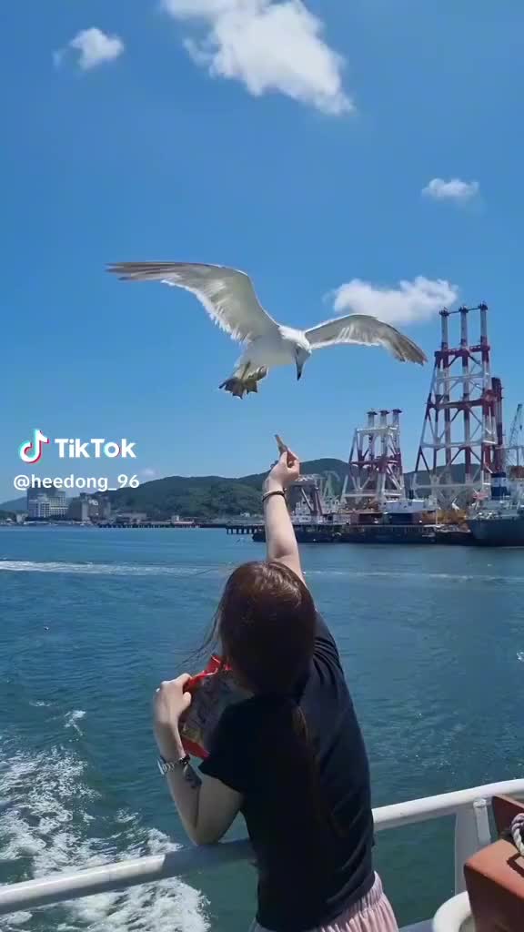 @믿소사주찬양