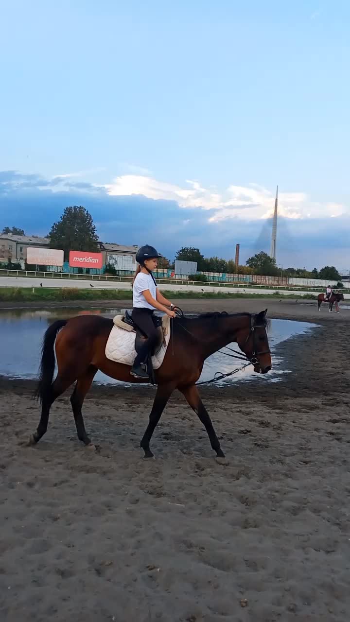 @меги🐎