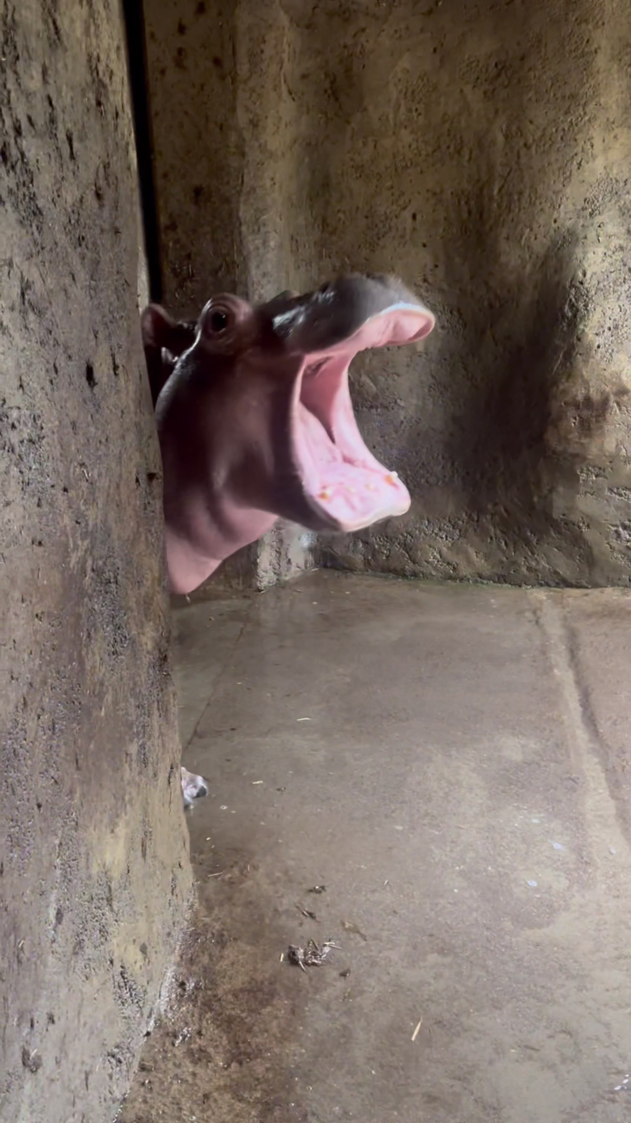 @Cincinnati Zoo
