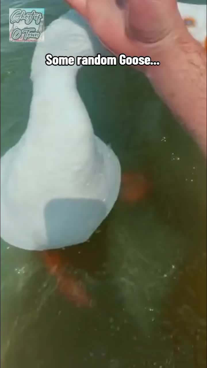 @Ƒʉͫcͧкͭ&iota;ͪ&eta;ͣ Ghost of O Town