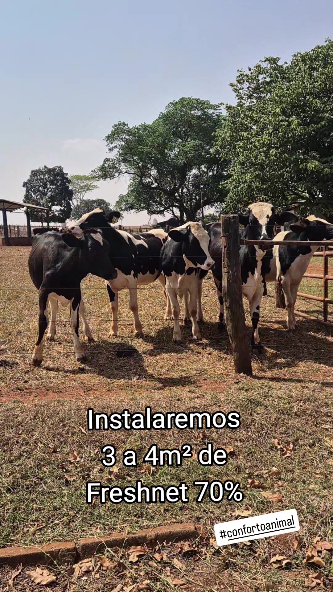 @Olavo Franco Bottino