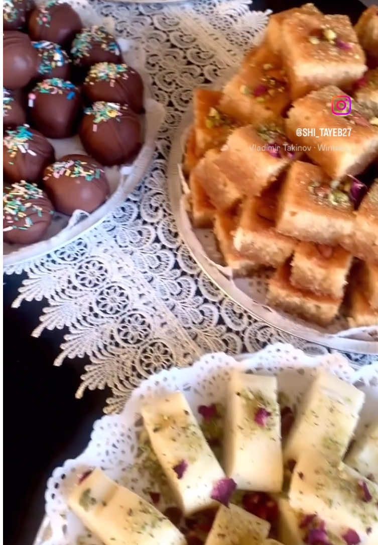 @Shi_Tayeb27