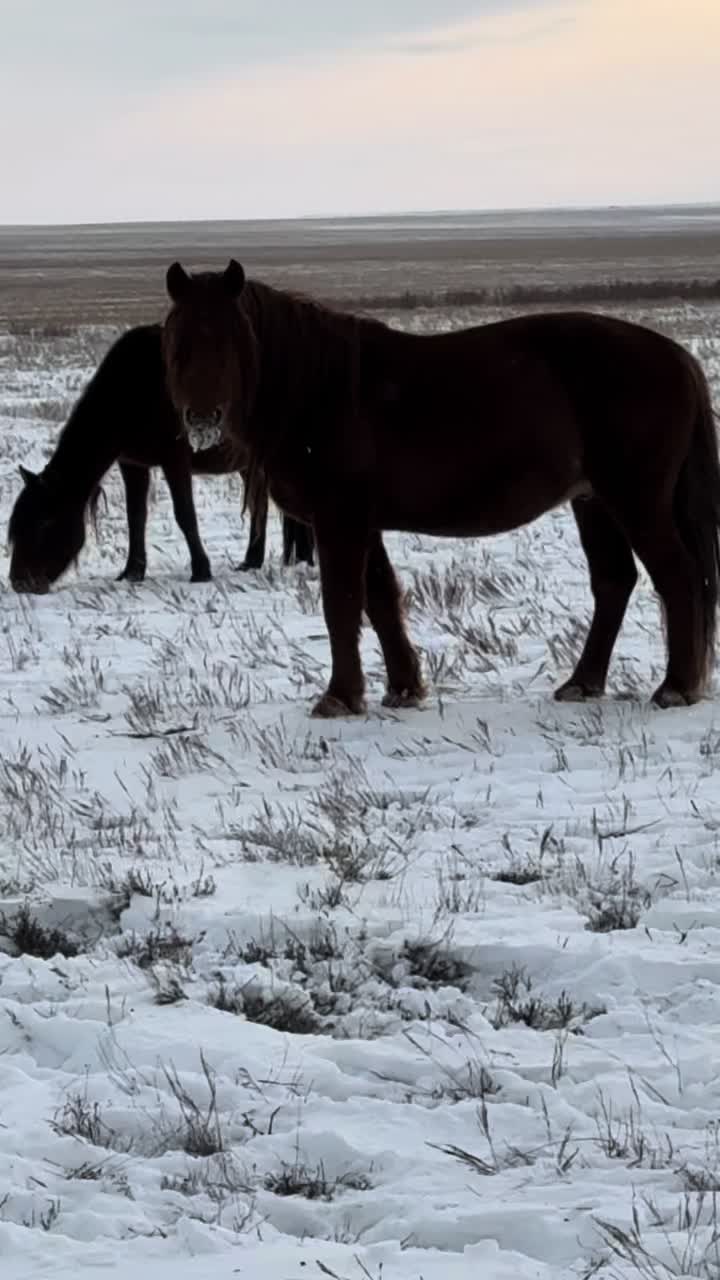 @Аза