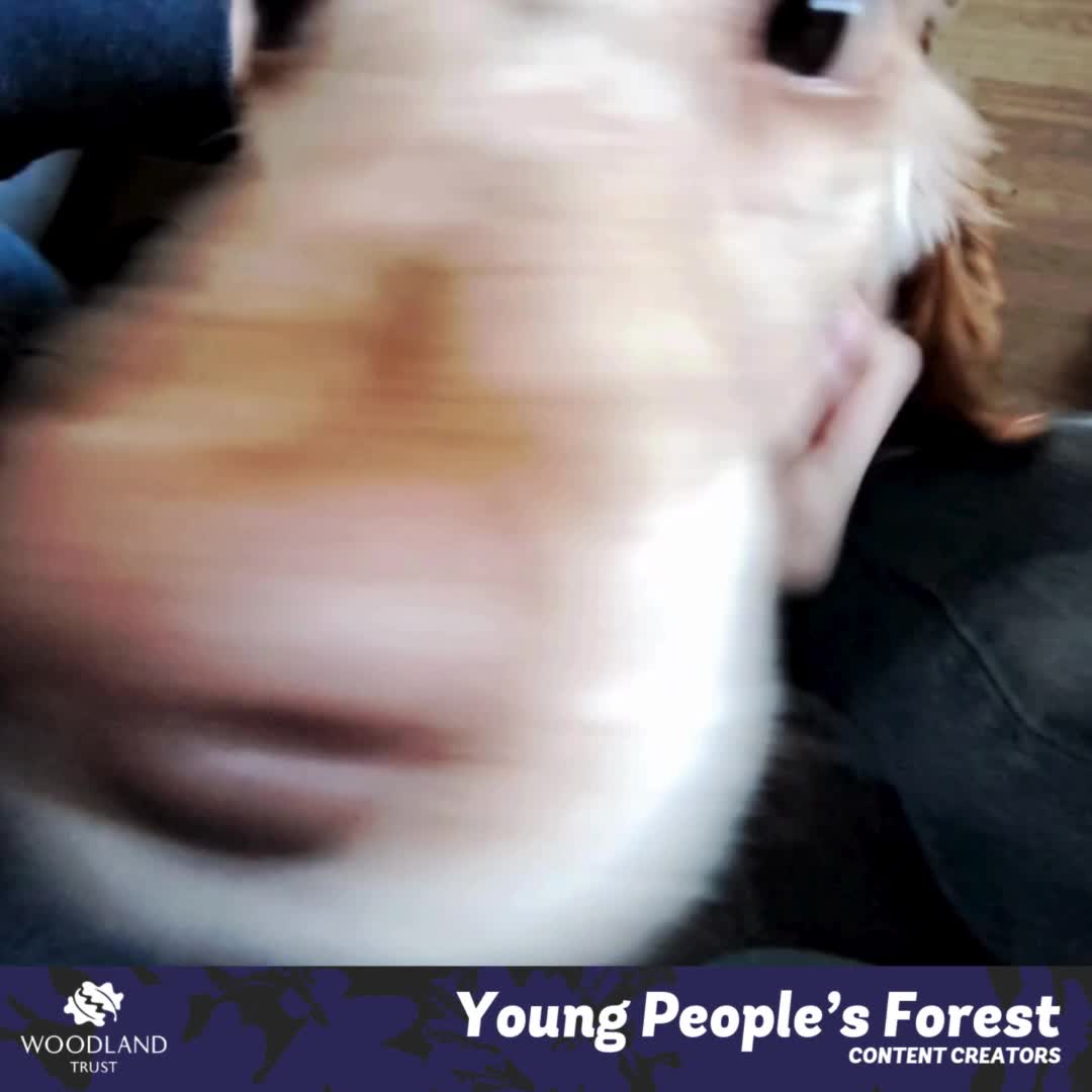 @woodlandtrustypfmead