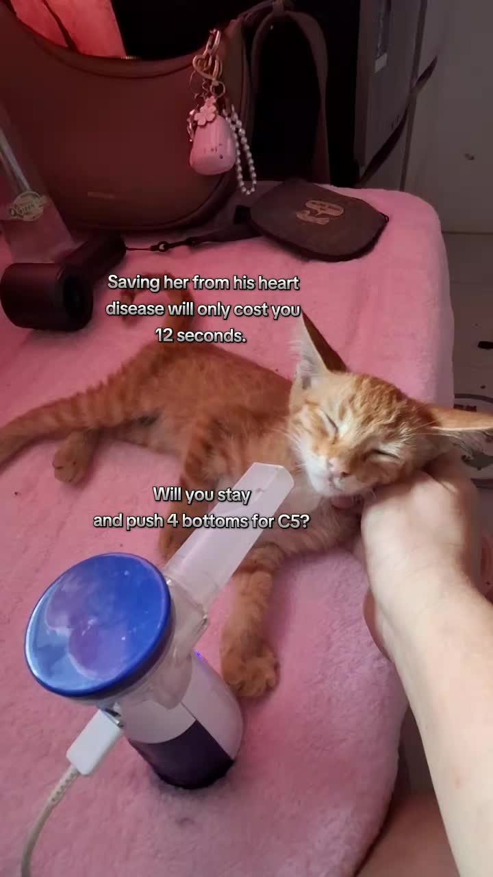 @mylharescues