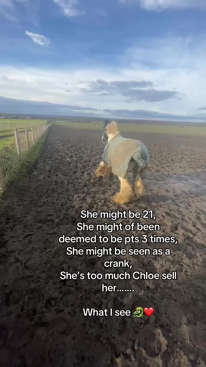 @Chloe Nicole Hepplewhite-smith