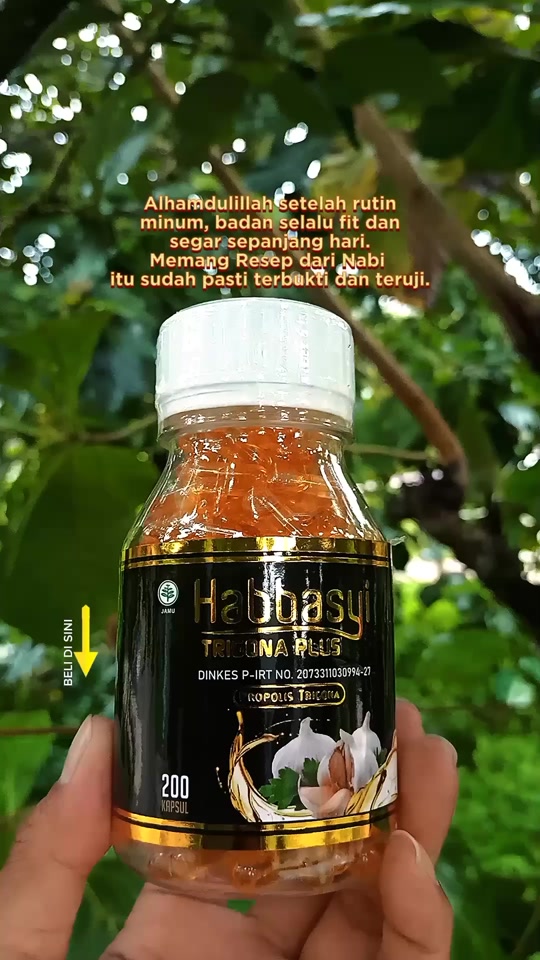 @rahman.jaya