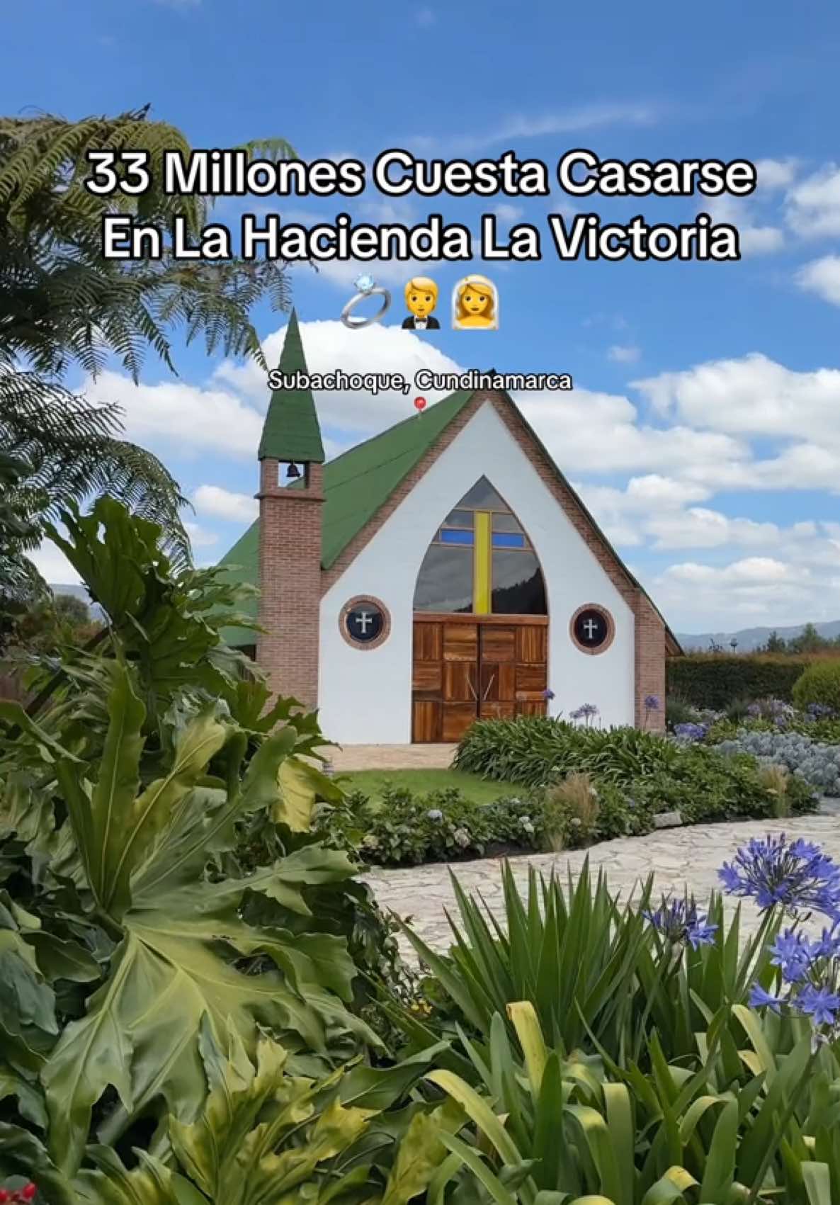 @soyzatt
