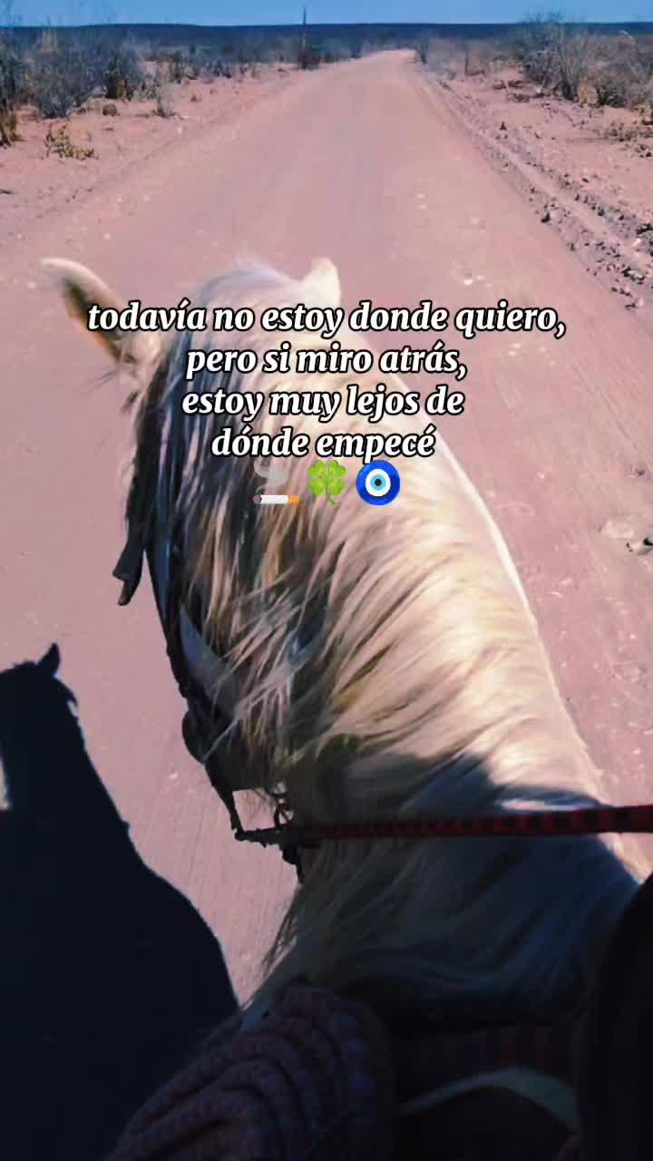 @Guillermo⚡☘️