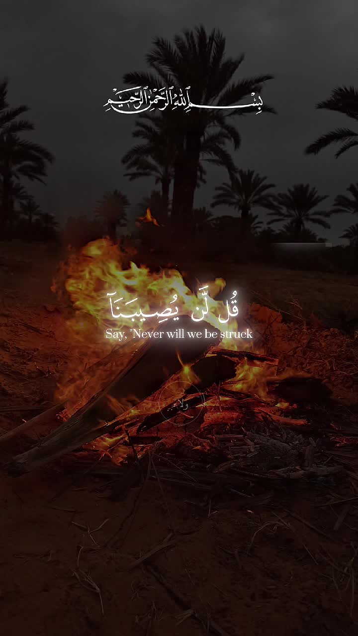 @﮼محمد 🥷 &bull;