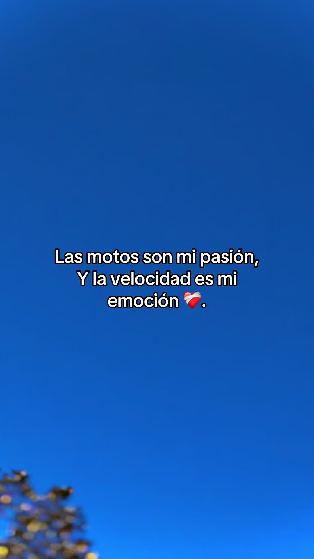 @OSCAR_R_C