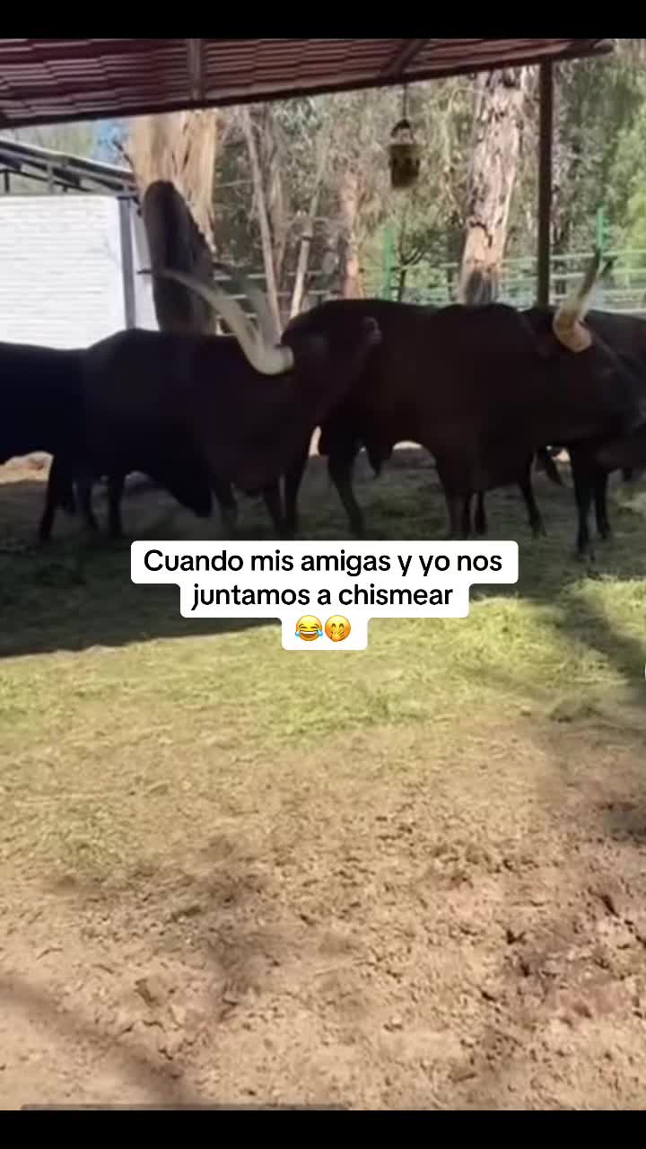 @Mina 🦋